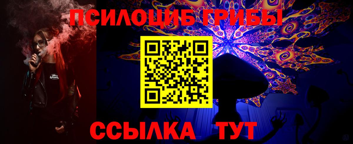 Галлюциногенные грибы GOLDEN TEACHER  купить наркотик  Карталы  Вход с VPN 